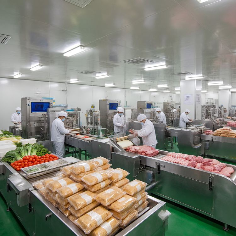 Food Processing Lines Food Processing Lines